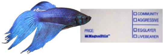 fish tank label